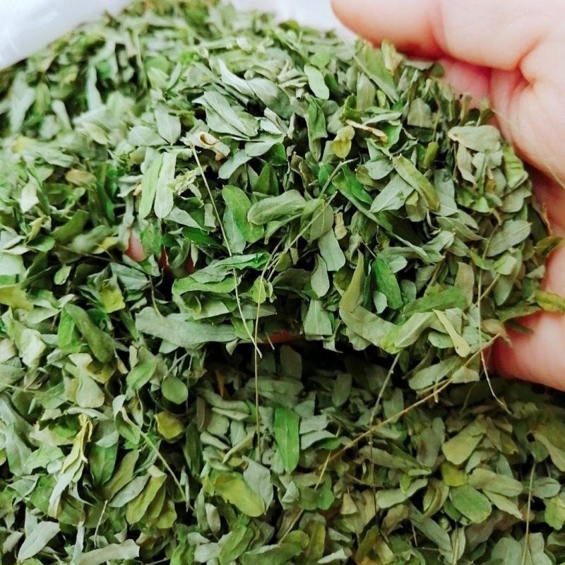 种植鸡骨草叶（相思叶）2023年新货