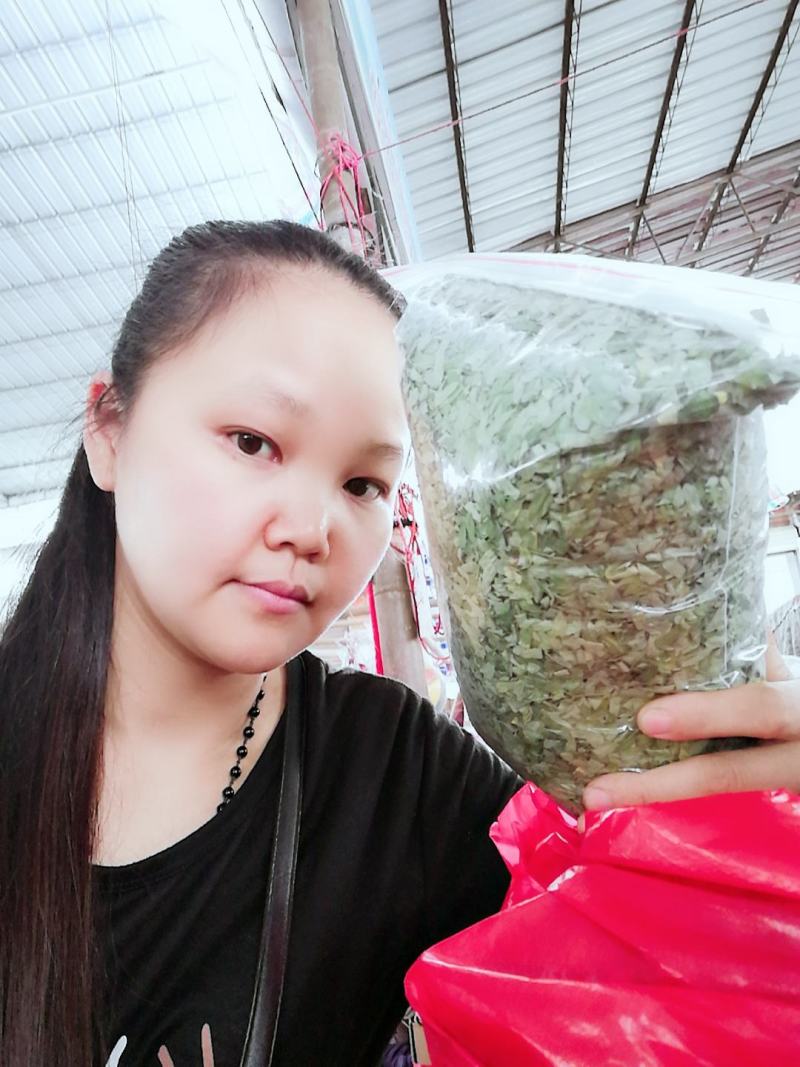 种植鸡骨草叶（相思叶）2023年新货