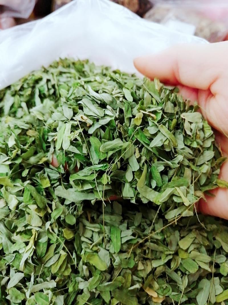 种植鸡骨草叶（相思叶）2023年新货