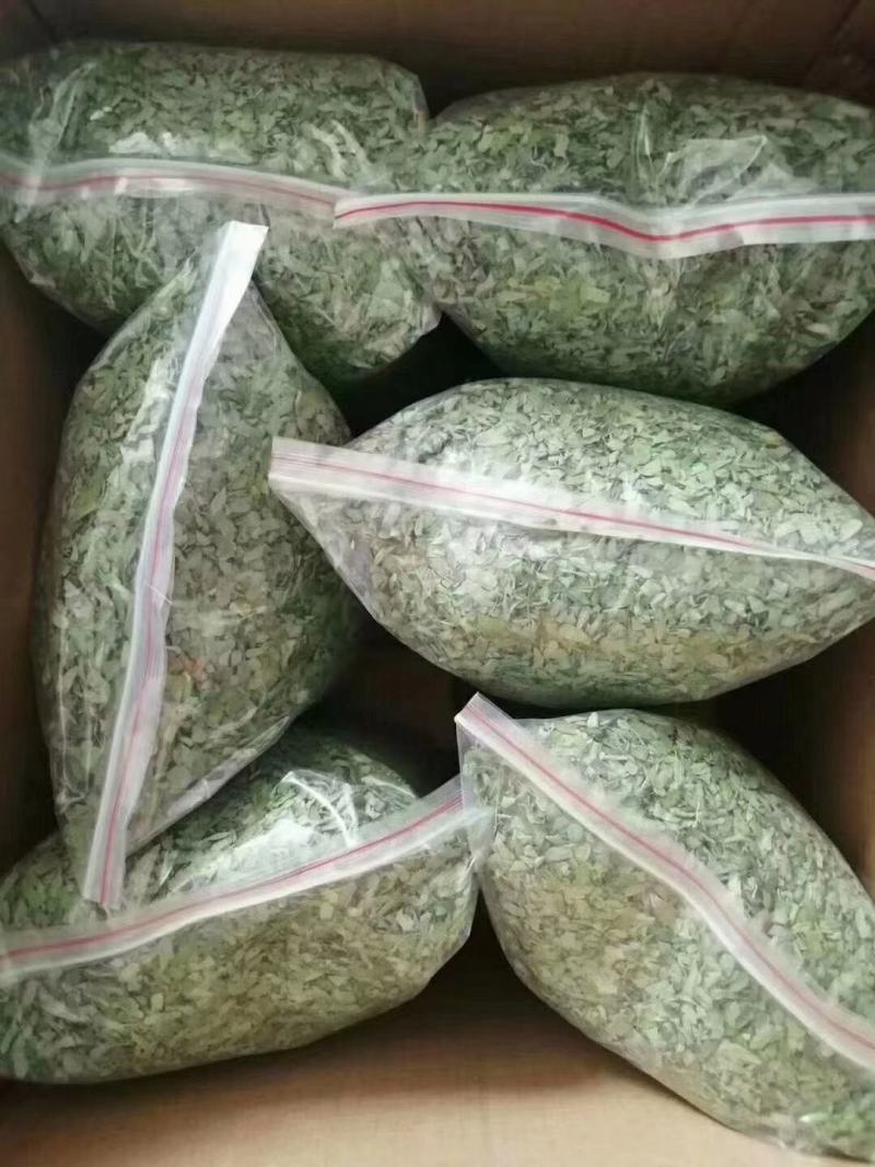 种植鸡骨草叶（相思叶）2023年新货