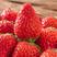 【精选】红颜草莓精品草莓大量供应产地直发一手货源