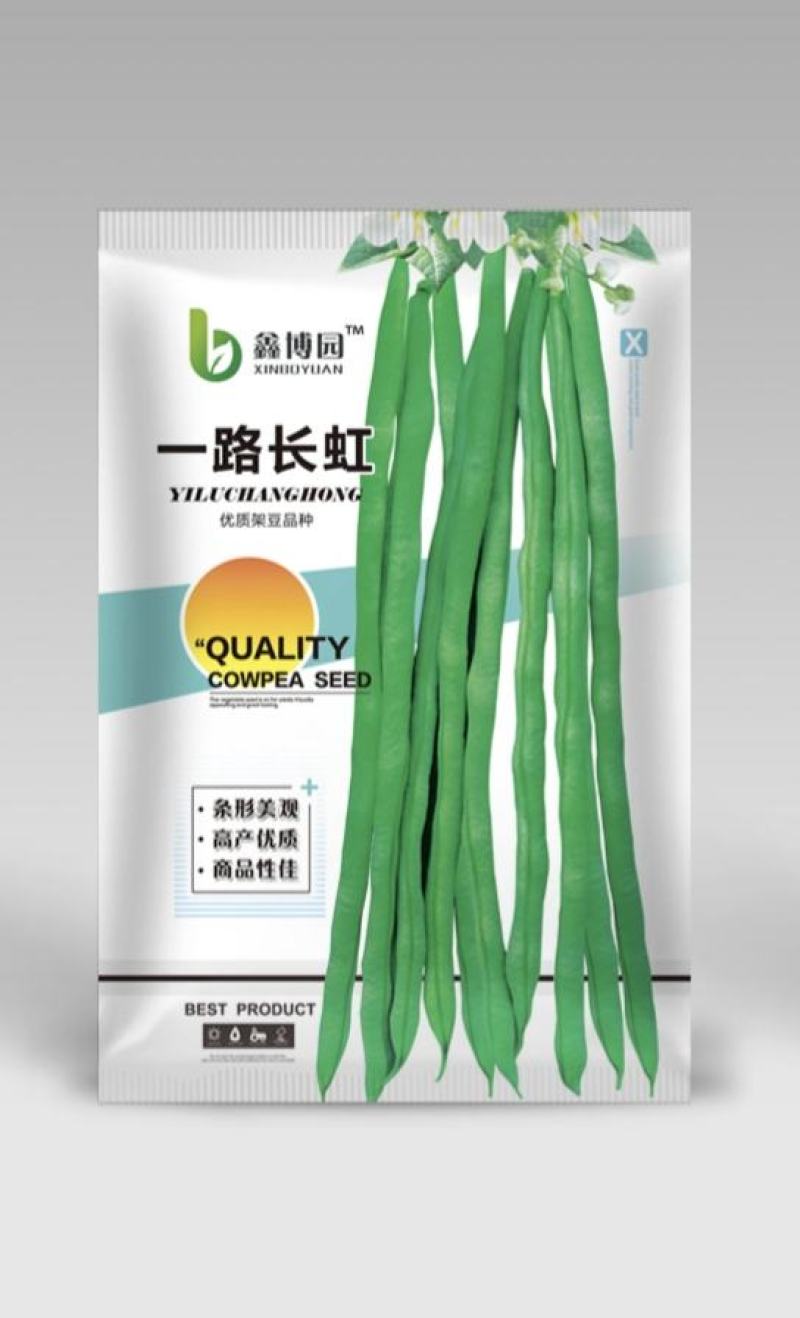 芸豆种子一路长虹架豆王红籽架豆无病毒产量高