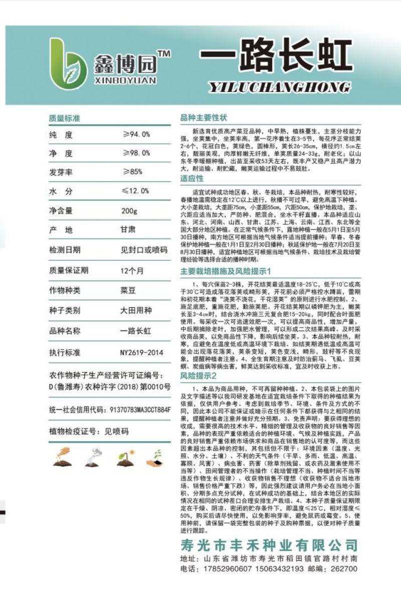 芸豆种子一路长虹架豆王红籽架豆无病毒产量高