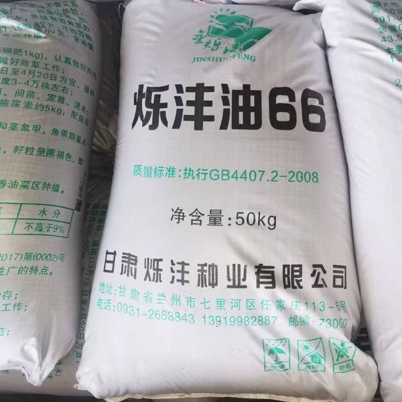 抗旱，抗倒伏，抗病性强，甘蓝型杂交油菜种子