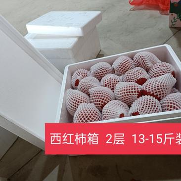 西红柿泡沫箱13-15斤