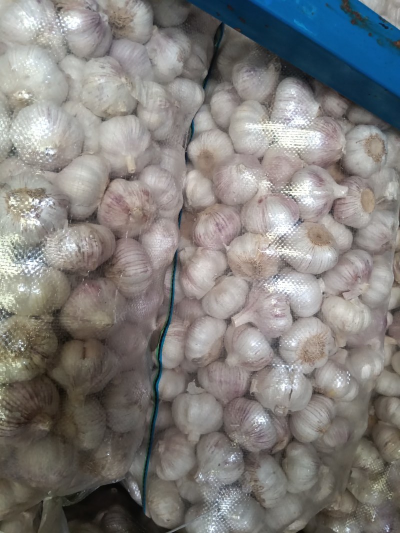 【实力推荐】大蒜金乡大蒜提供各种包装分选，自有大蒜加工厂