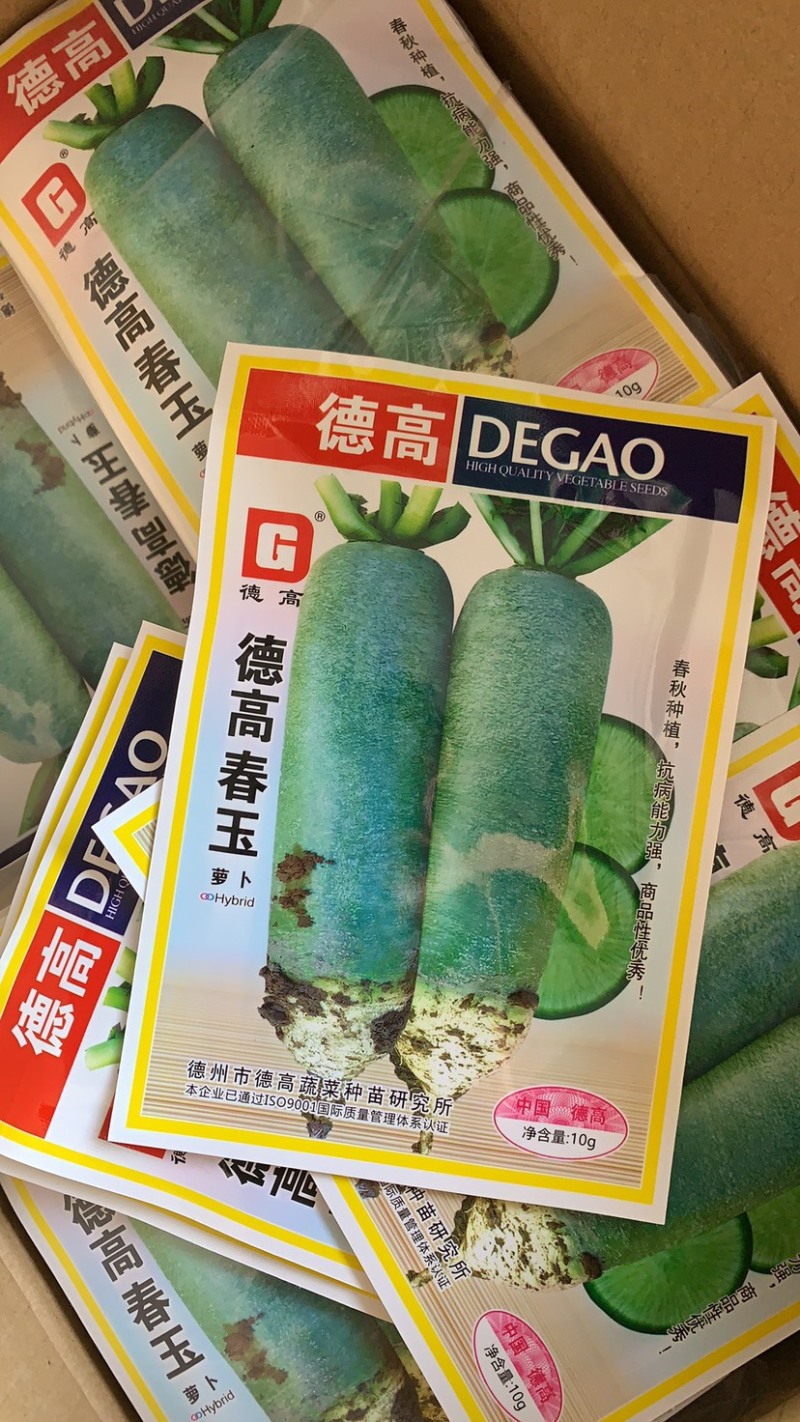 德高春玉萝卜种子青萝卜种子一代杂交脆嫩微甜春秋两用