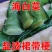 盐渍海带结厚实海带结凉拌炖肉海带结鲜海带结5斤装包邮