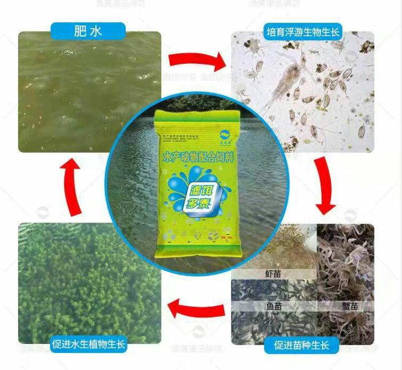 渔美康滤饵多泰富含有益菌群肥水稳水壮苗鱼虾蟹饵料10公斤