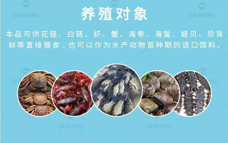 渔美康滤饵多泰富含有益菌群肥水稳水壮苗鱼虾蟹饵料10公斤