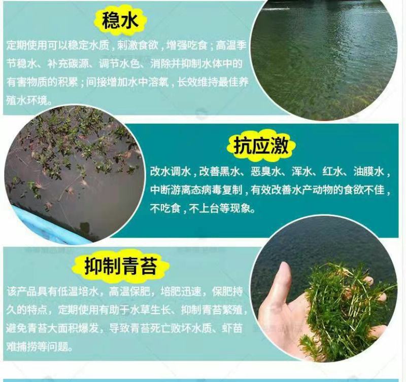 渔美康滤饵多泰富含有益菌群肥水稳水壮苗鱼虾蟹饵料10公斤