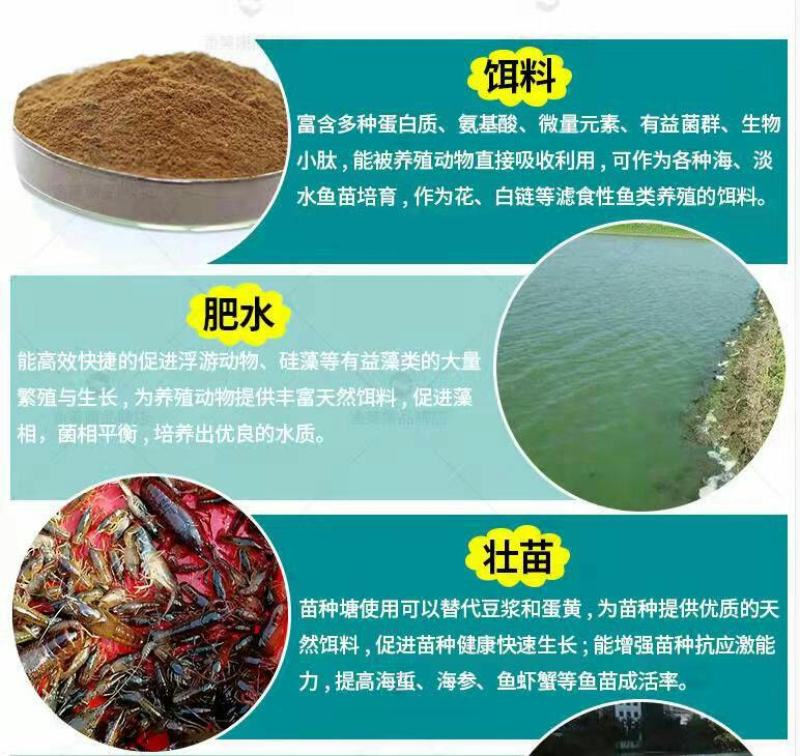 渔美康滤饵多泰富含有益菌群肥水稳水壮苗鱼虾蟹饵料10公斤