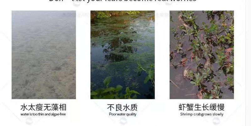 渔美康滤饵多泰富含有益菌群肥水稳水壮苗鱼虾蟹饵料10公斤