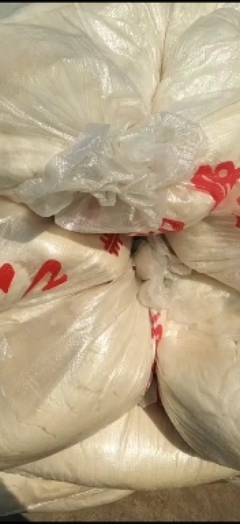 豆腐渣