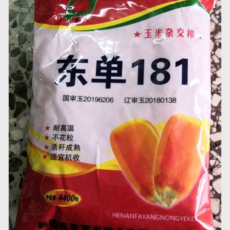 高产优质种子