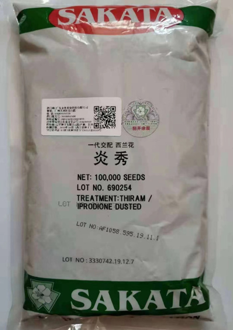 西蓝花苗炎秀耐寒优秀先正达蔓陀绿品种质量保证