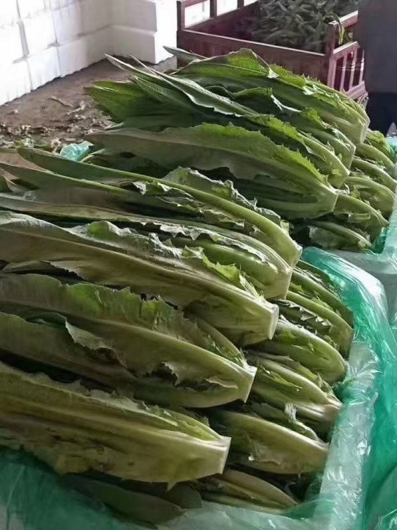 各种精品蔬菜品种多