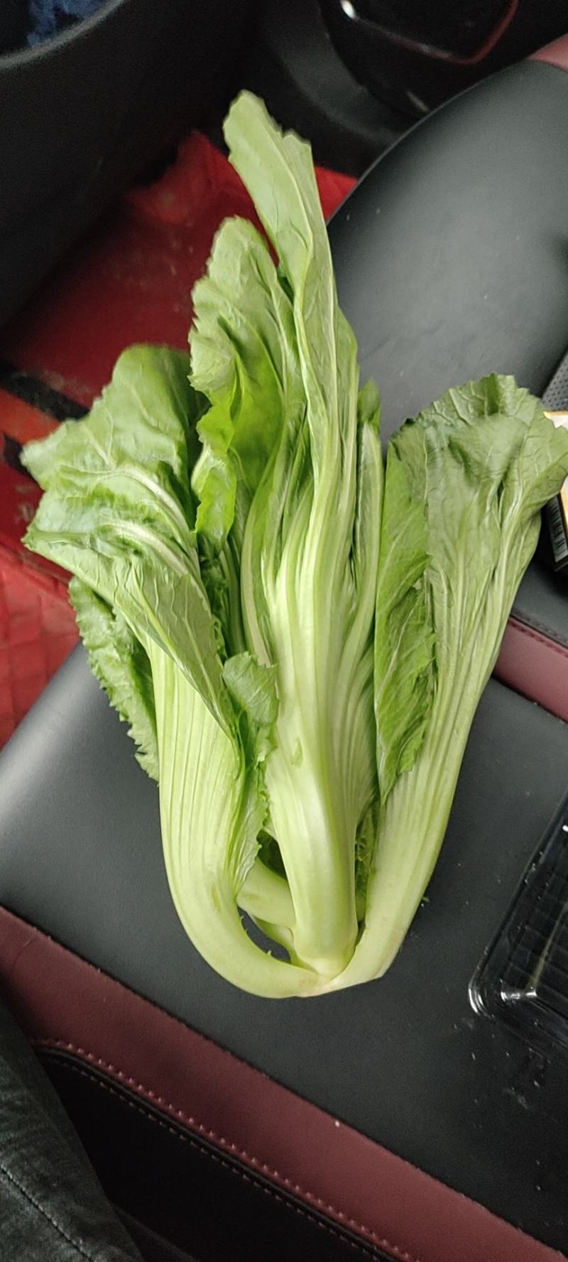 各种精品蔬菜品种多