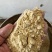 东北食品厂下来的玉米淀粉代替玉米使用鸡鸭鹅养殖专用