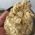 东北食品厂下来的玉米淀粉代替玉米使用鸡鸭鹅养殖专用