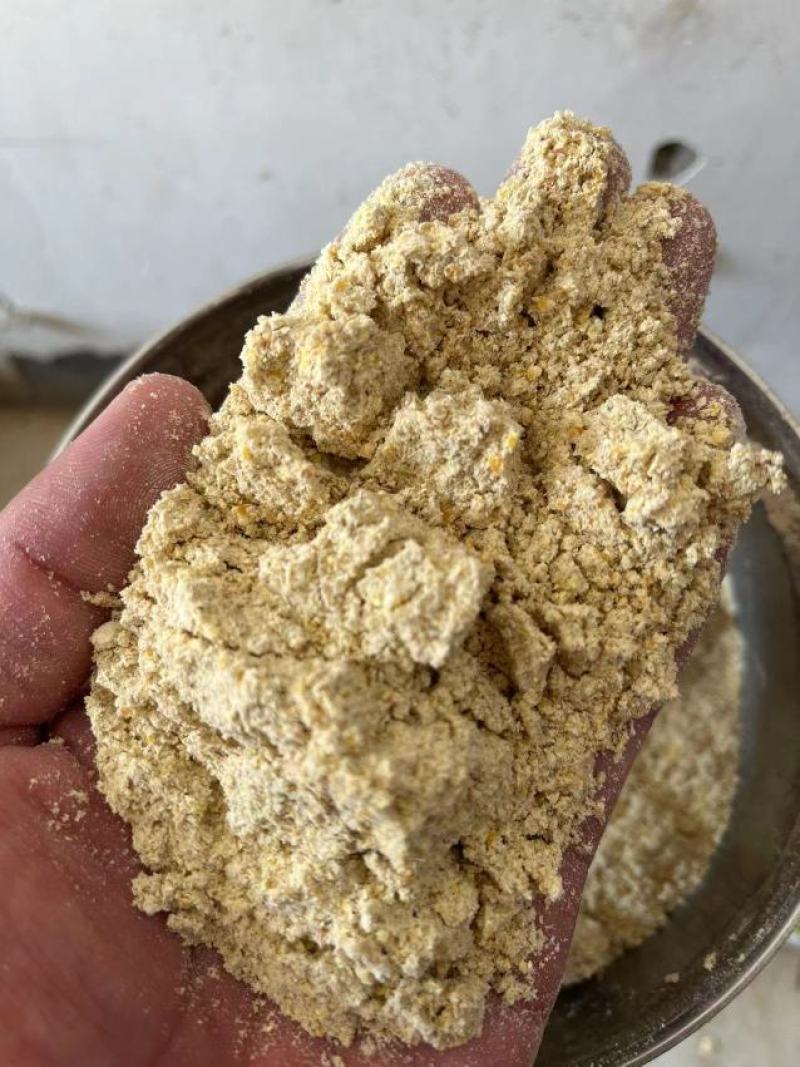 东北食品厂下来的玉米淀粉代替玉米使用鸡鸭鹅养殖专用