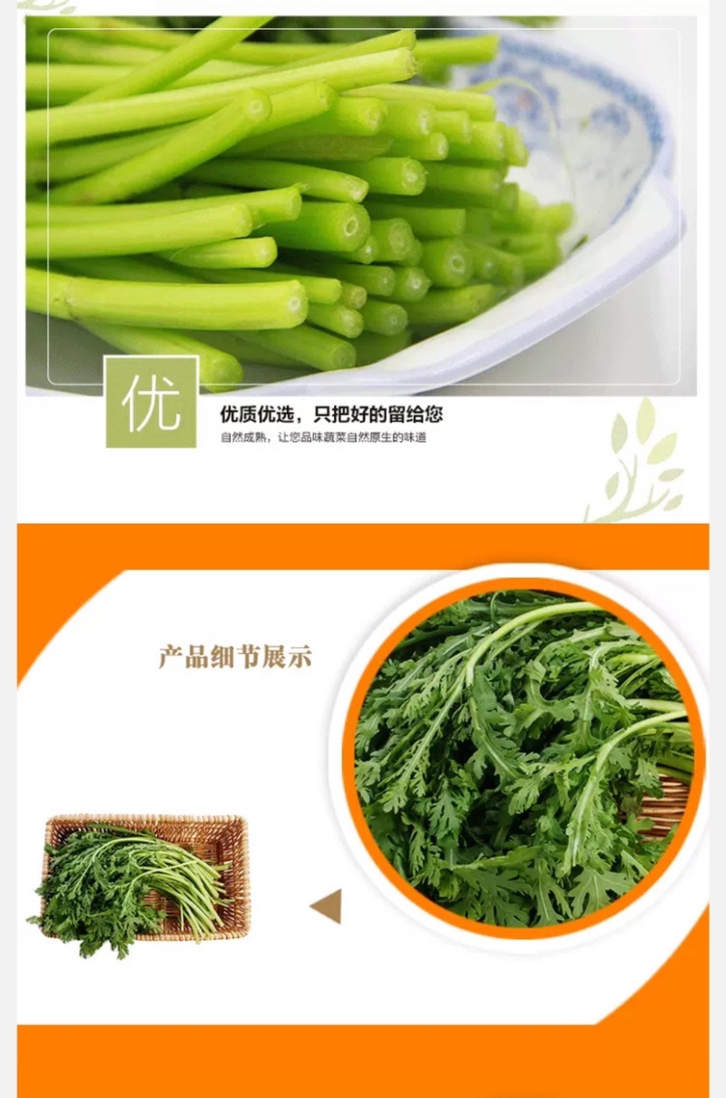 湖北省武汉市蔬菜基地直销茼蒿(超优品质)