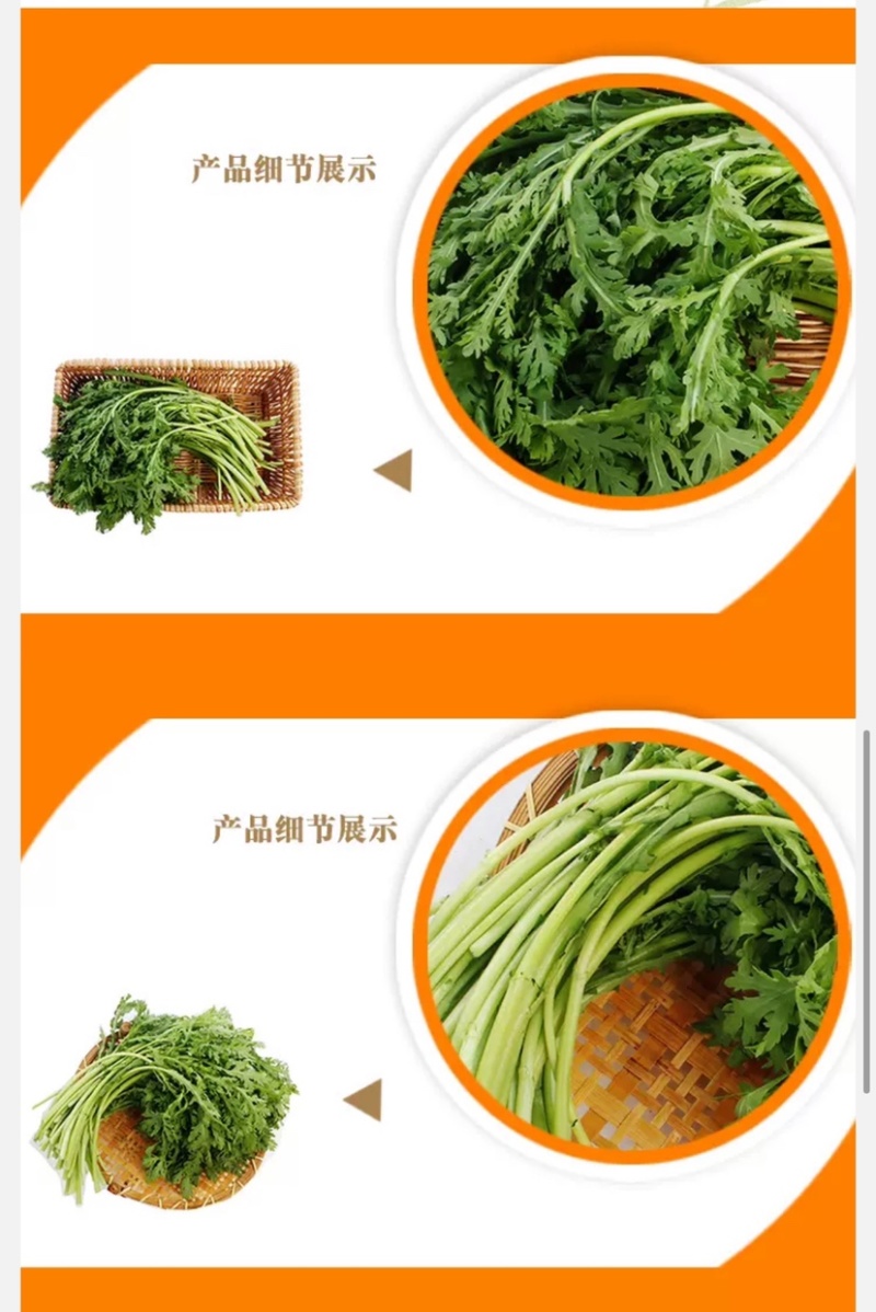 湖北省武汉市蔬菜基地直销茼蒿(超优品质)