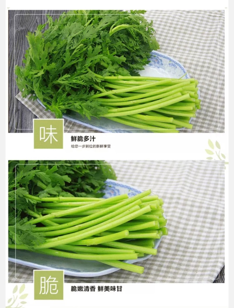 湖北省武汉市蔬菜基地直销茼蒿(超优品质)