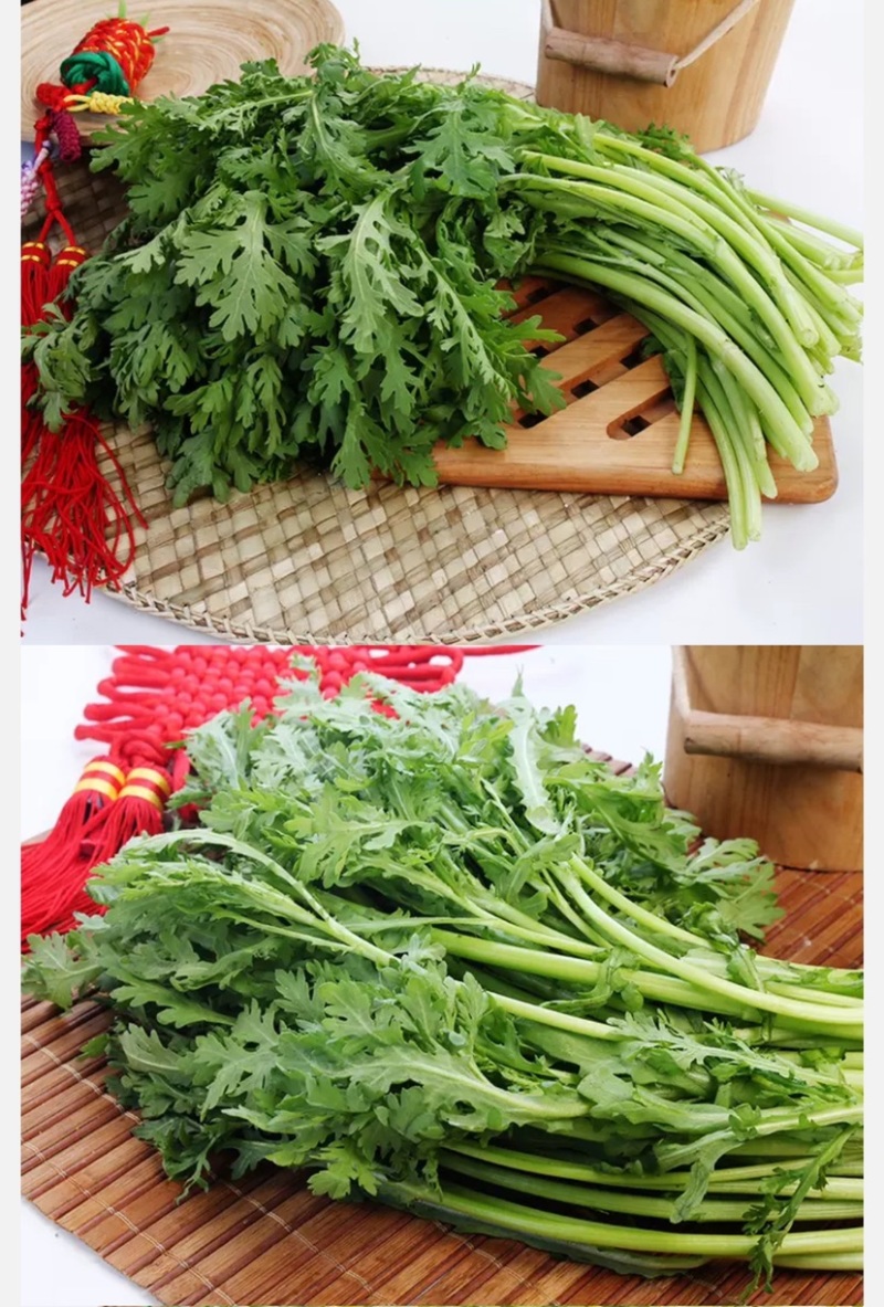 湖北省武汉市蔬菜基地直销茼蒿(超优品质)