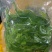 广东桑叶菜桑芽菜货源充足欢迎老板来订购量
