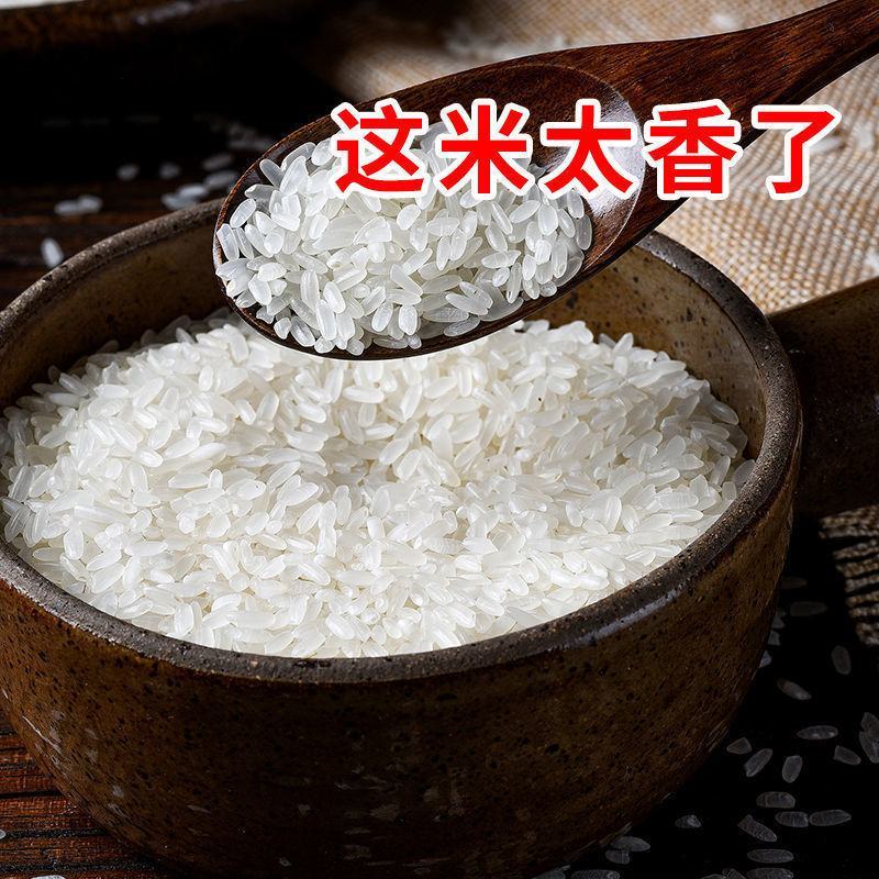东北大米50斤100斤长粒香稻花香珍珠米圆粒米厂家批发