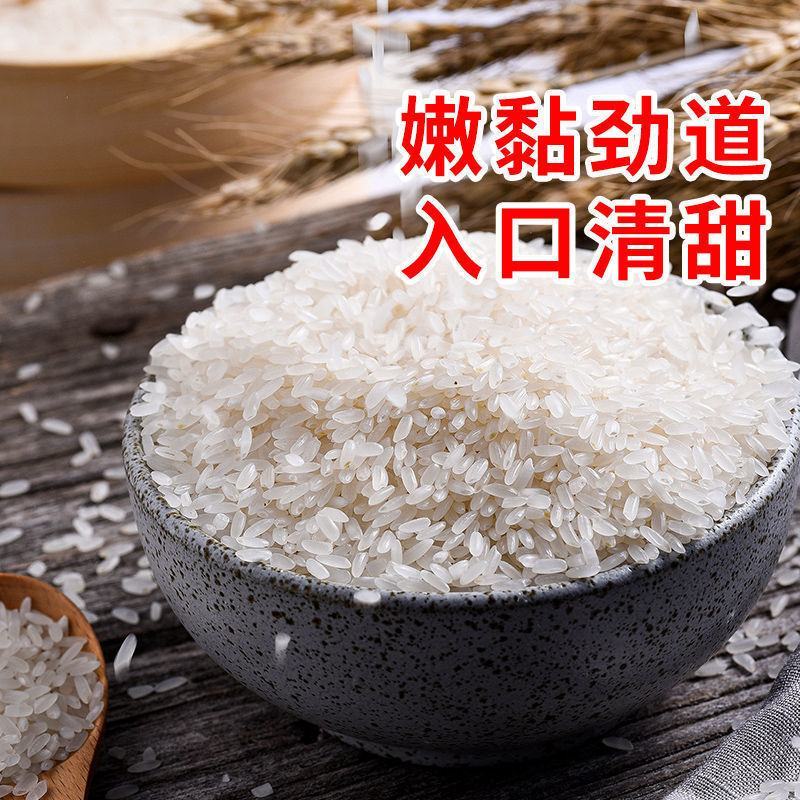 东北大米50斤100斤长粒香稻花香珍珠米圆粒米厂家批发