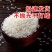 东北大米50斤100斤长粒香稻花香珍珠米圆粒米厂家批发