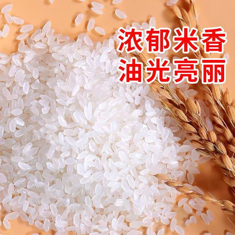 东北大米50斤100斤长粒香稻花香珍珠米圆粒米厂家批发
