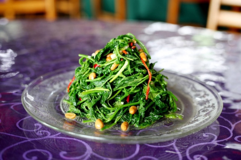 广东桑叶菜桑芽菜货源充足欢迎老板来订购量