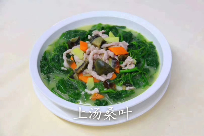 广东桑叶菜桑芽菜货源充足欢迎老板来订购量
