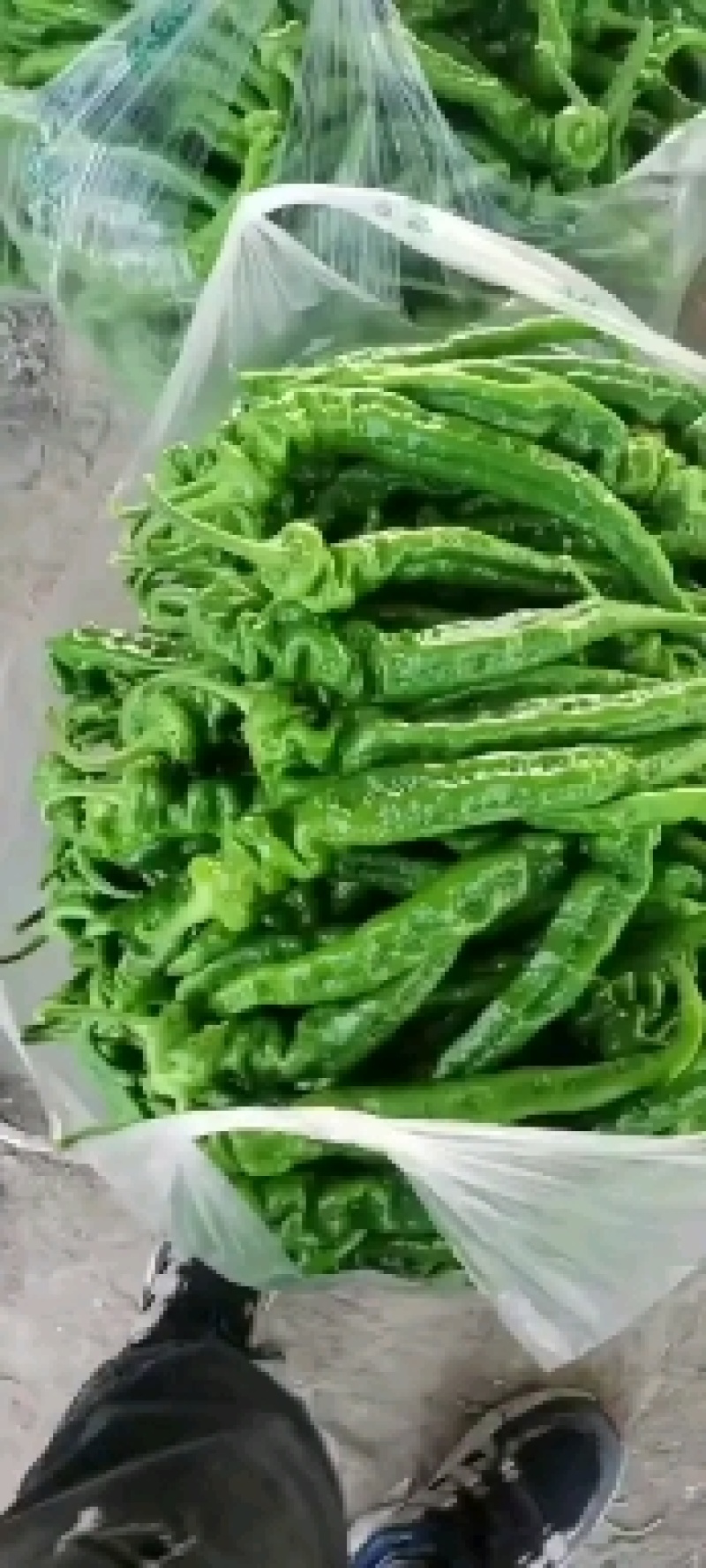 精品螺丝椒