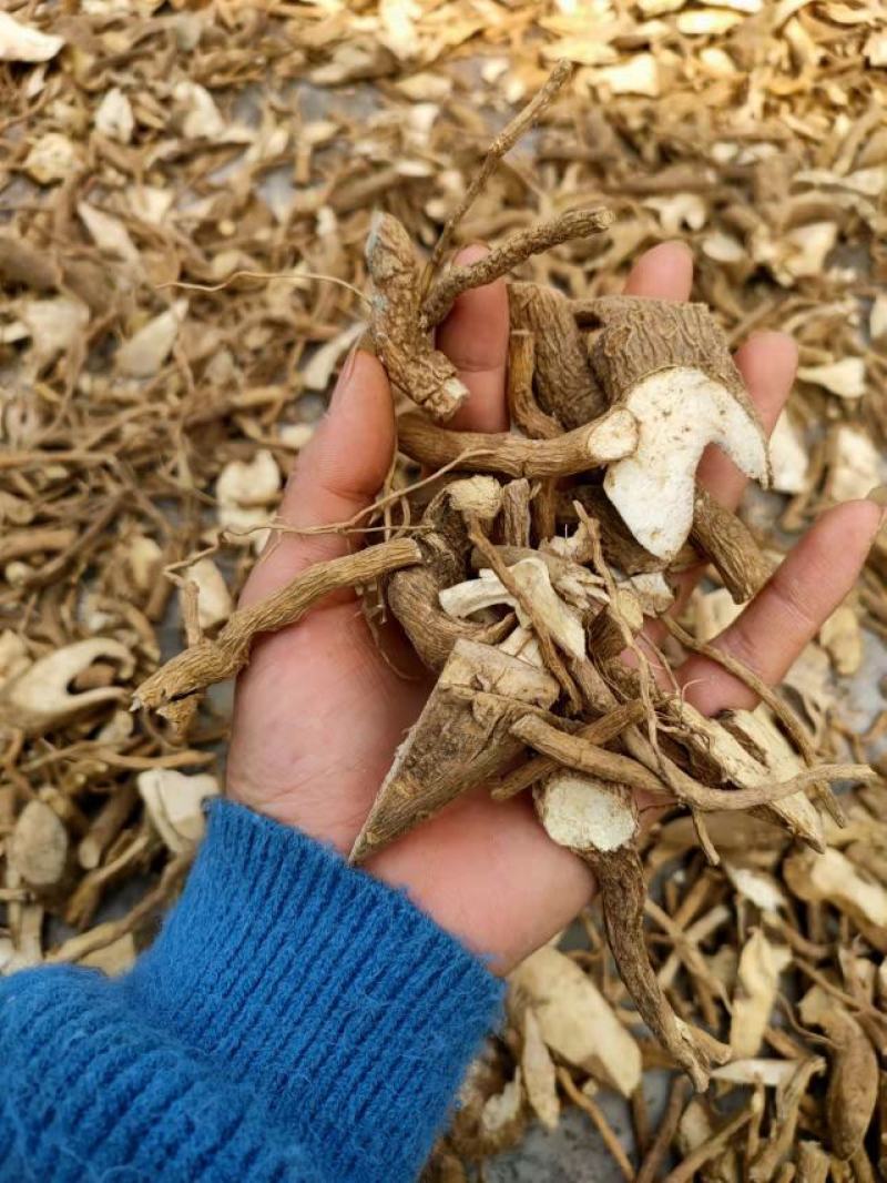 纯野生黄花倒水莲黄花参鲜货干货纯根批发