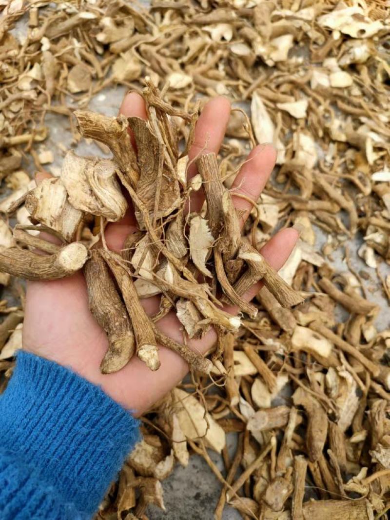 纯野生黄花倒水莲黄花参鲜货干货纯根批发