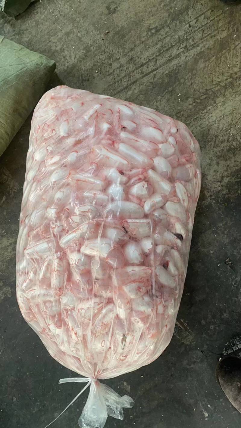 湖北白鲢鱼泡新鲜鱼泡工厂直供现货批发