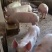 【一元大白母猪】大白母猪长白母猪二元母猪3头包邮