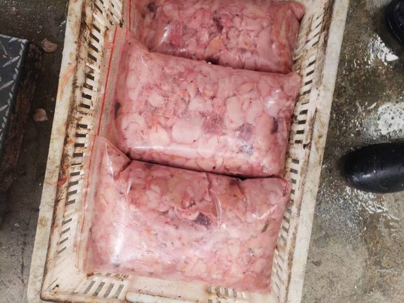 新鲜鲤鱼鱼籽鱼白黄籽白籽工厂直供批发