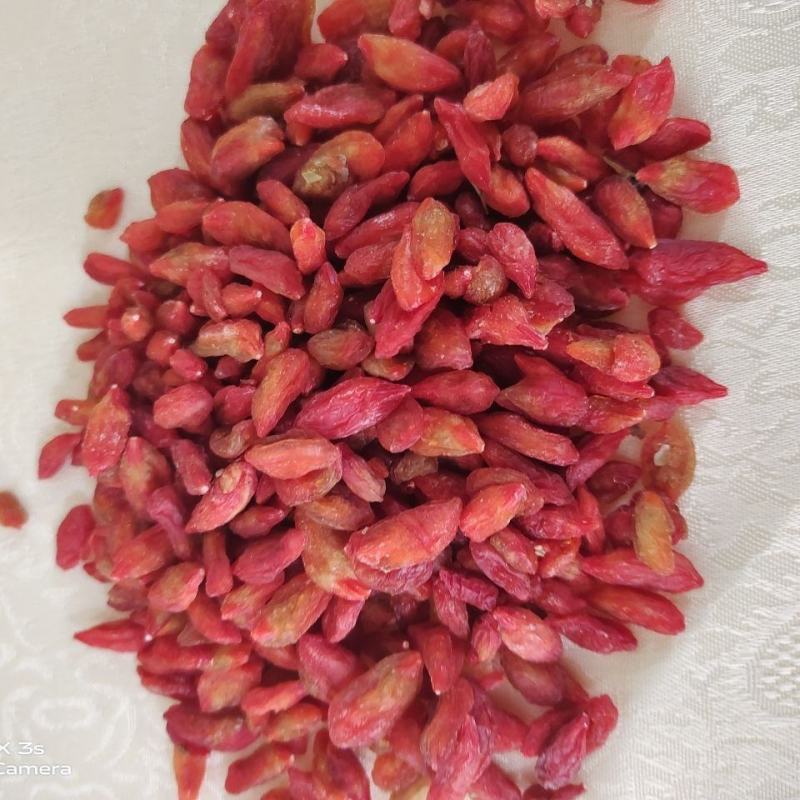 黄枸杞，青海一手货源，产地直供，颗粒饱满，自然晒干，正品