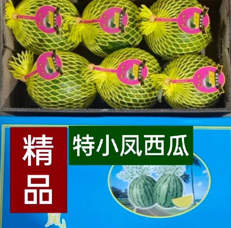 黄瓤西瓜特小凤西瓜3一6斤产地货源充足无中间商差价