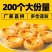 【包邮_200个蛋挞皮】葡式蛋挞皮批发家用半成品带锡底