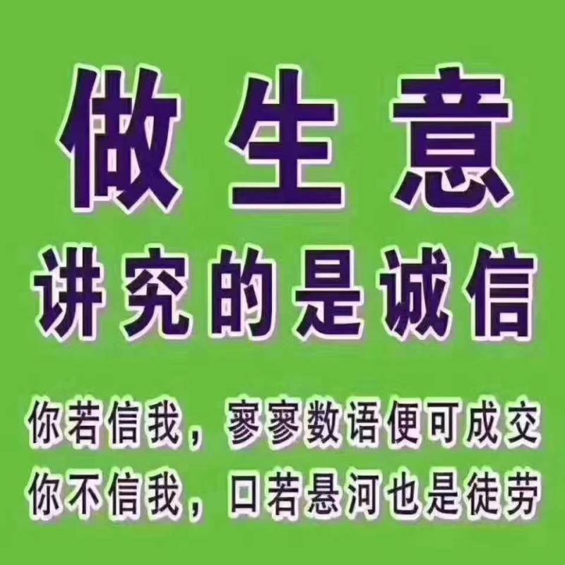 河北省唐山市乐亭县水蜜桃大量上市中欢迎老板们来洽谈