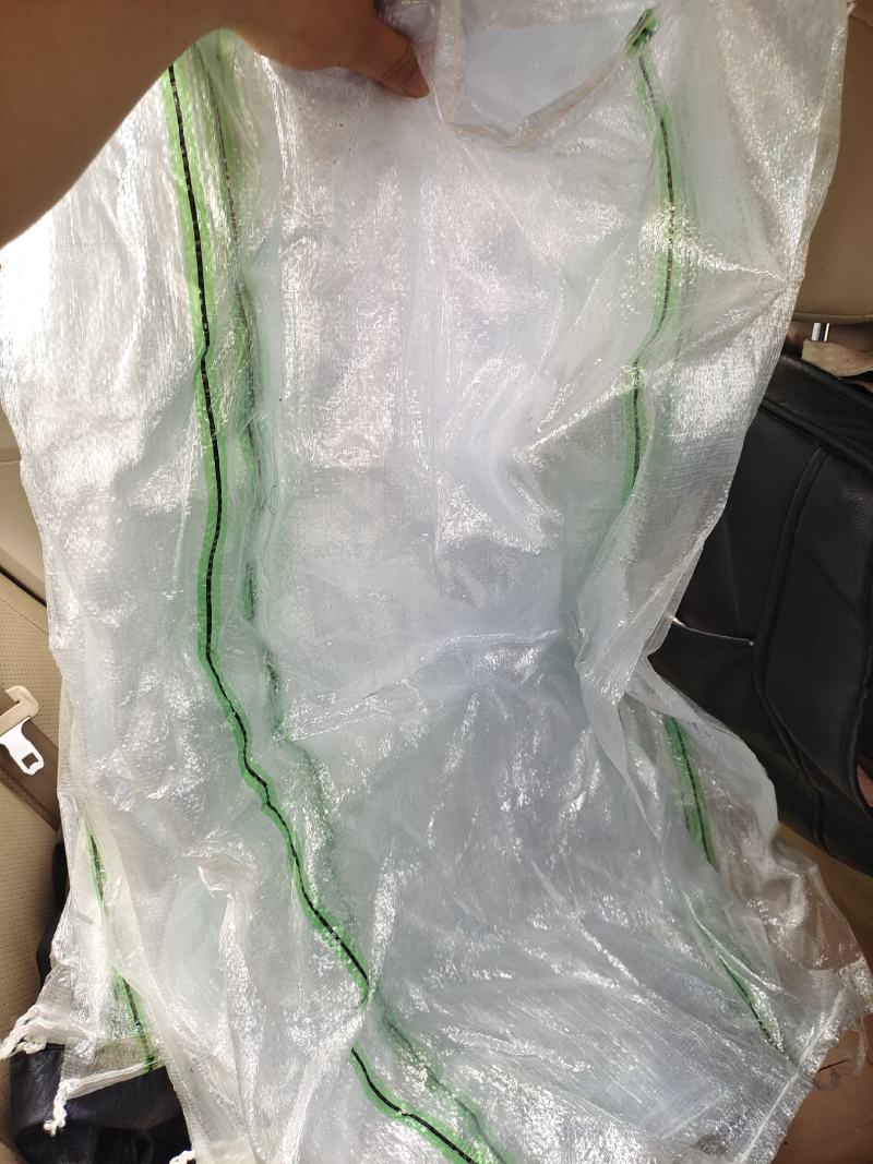 广西甘蓝圆包菜新菜不烧叶可视频看货