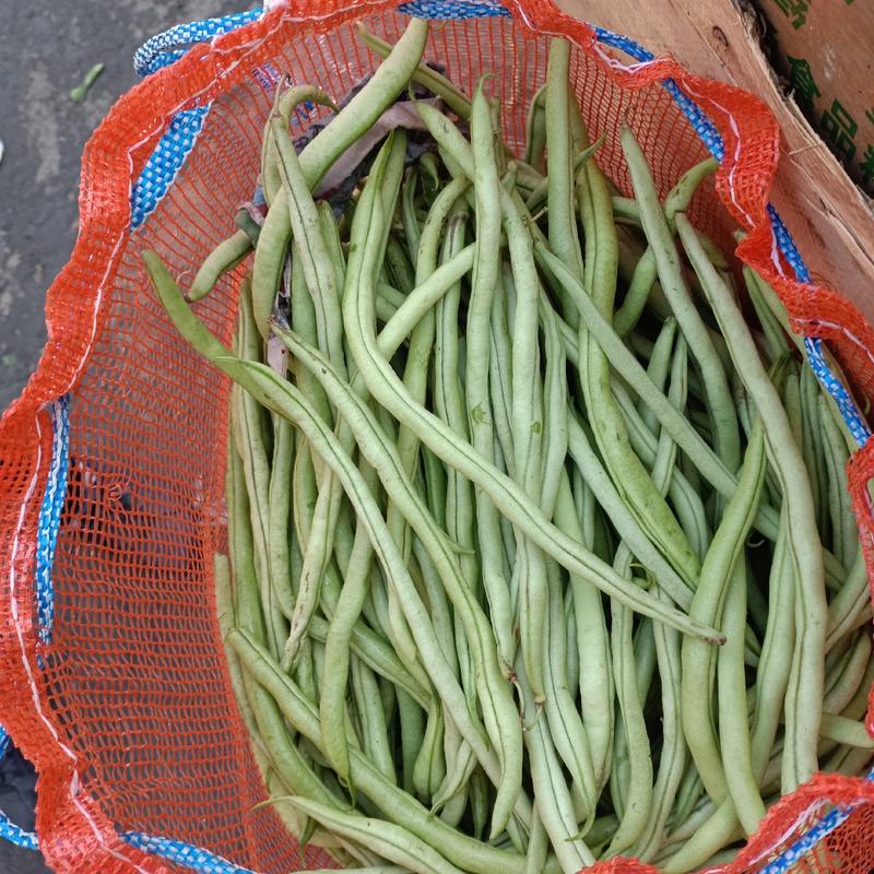 白不老扁豆，无丝豆小金豆大量有货，承接社区团购