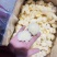 包邮椴木银耳，无添加无硫，质量可靠