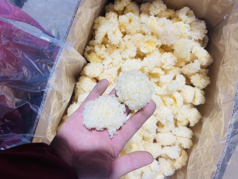 包邮椴木银耳，无添加无硫，质量可靠